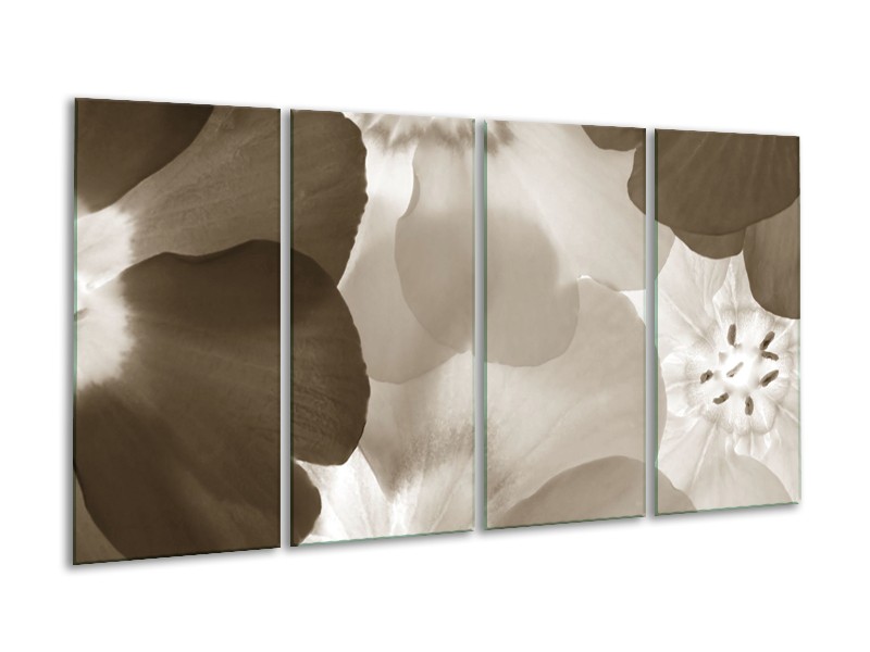 Glasschilderij Bloem | Sepia | 160x80cm 4Luik