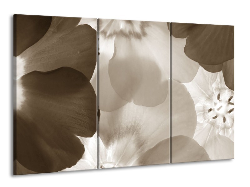 Glasschilderij Bloem | Sepia | 165x100cm 3Luik