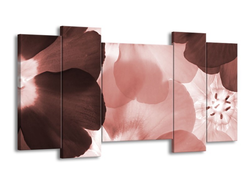 Canvas Schilderij Bloem | Bruin, Rood | 120x65cm 5Luik