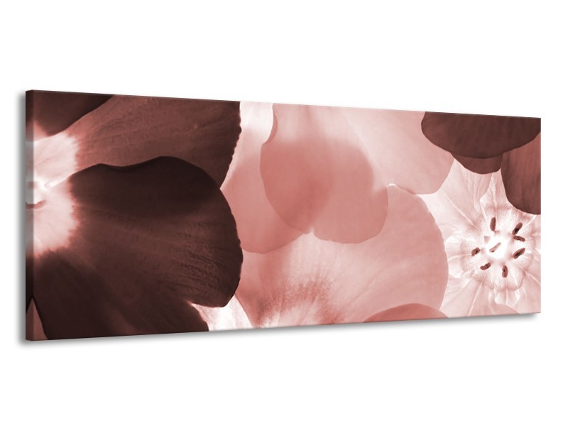 Canvas Schilderij Bloem | Bruin, Rood | 145x58cm 1Luik