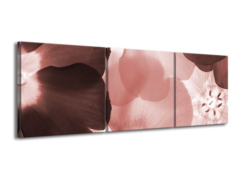 Glasschilderij Bloem | Bruin, Rood | 150x50cm 3Luik