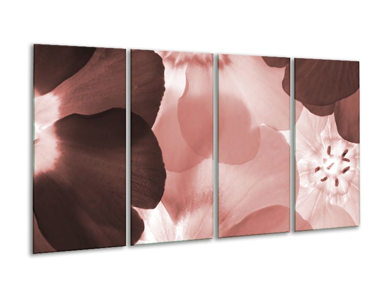 Glasschilderij Bloem | Bruin, Rood | 160x80cm 4Luik