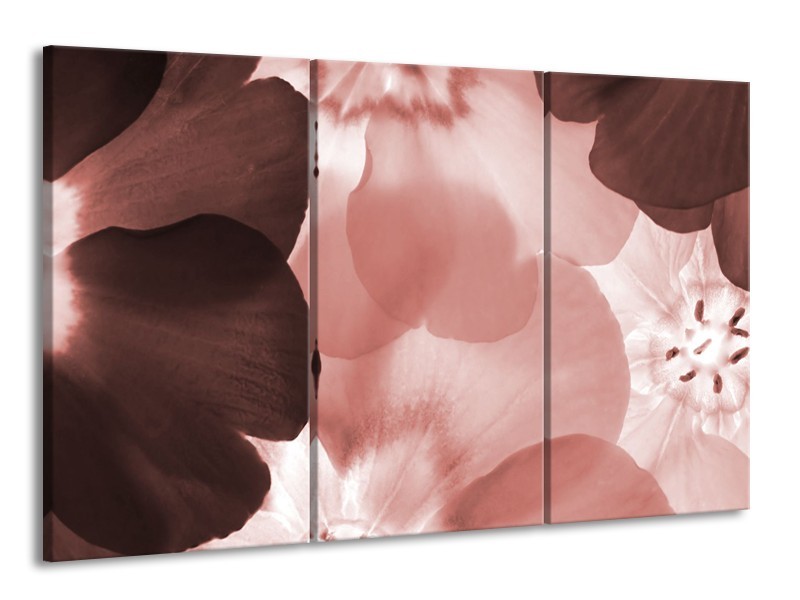 Glasschilderij Bloem | Bruin, Rood | 165x100cm 3Luik