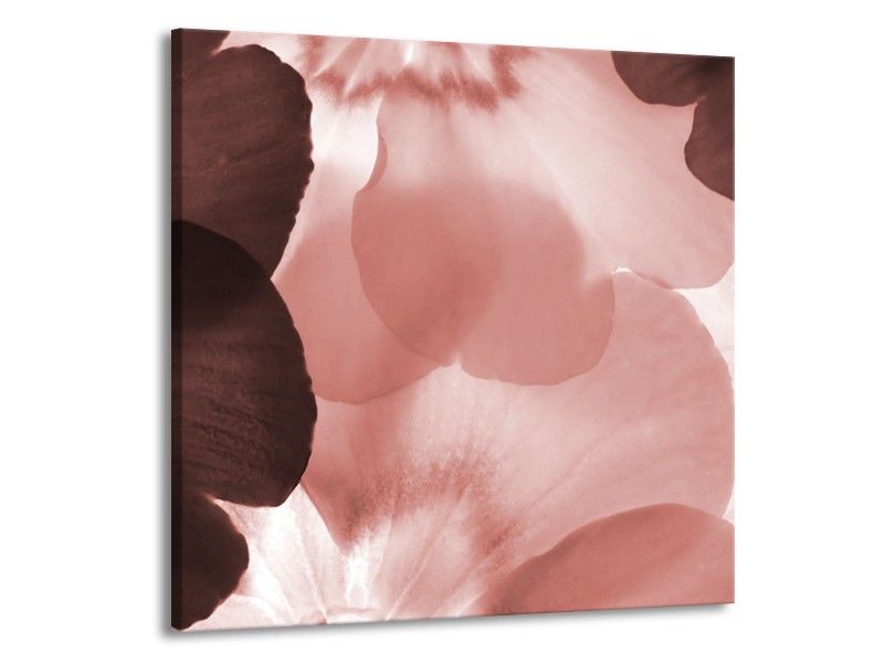 Glasschilderij Bloem | Bruin, Rood | 50x50cm 1Luik