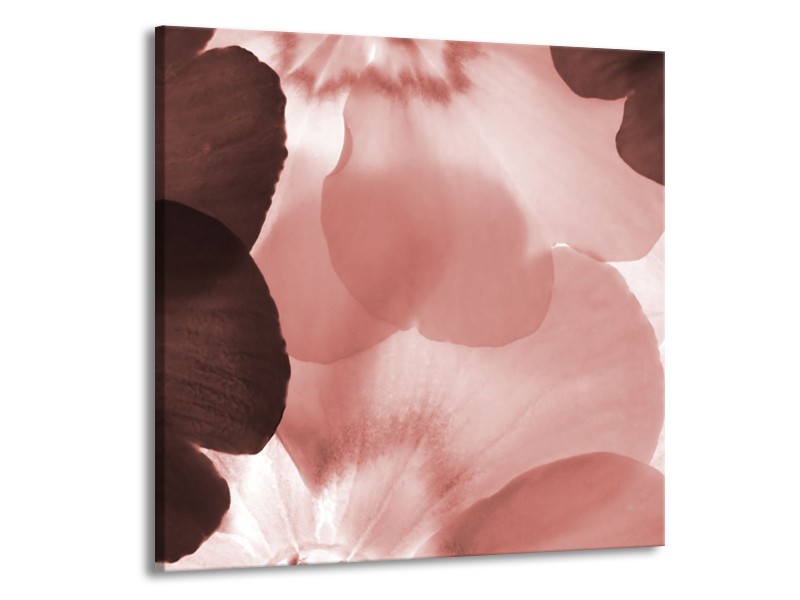 Glasschilderij Bloem | Bruin, Rood | 70x70cm 1Luik