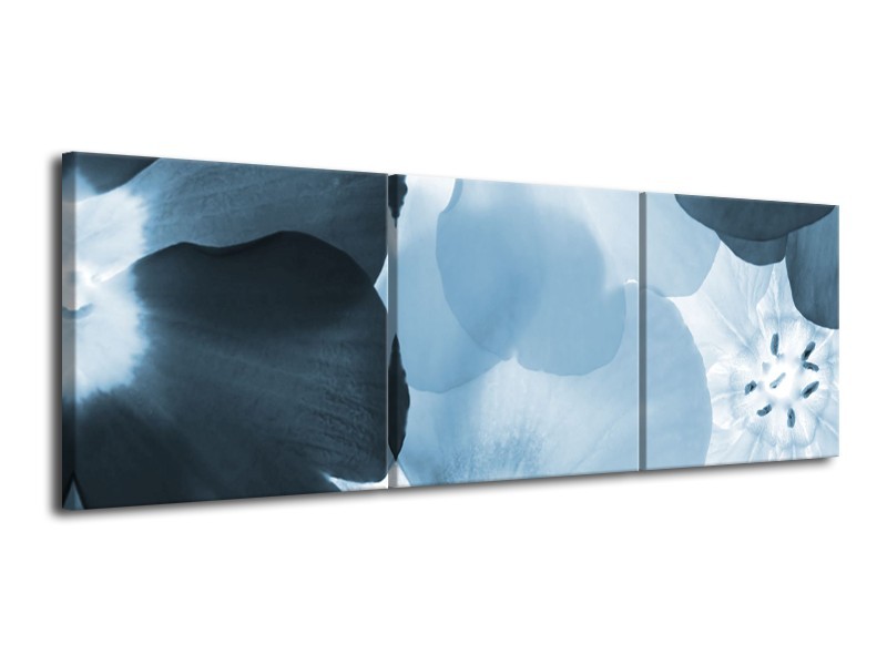 Glasschilderij Bloem | Blauw | 120x40cm 3Luik