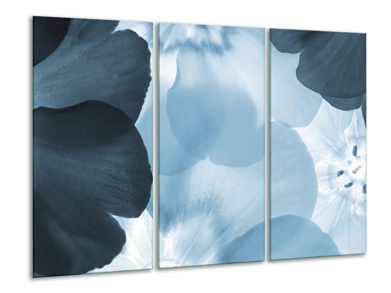 Glasschilderij Bloem | Blauw | 120x80cm 3Luik