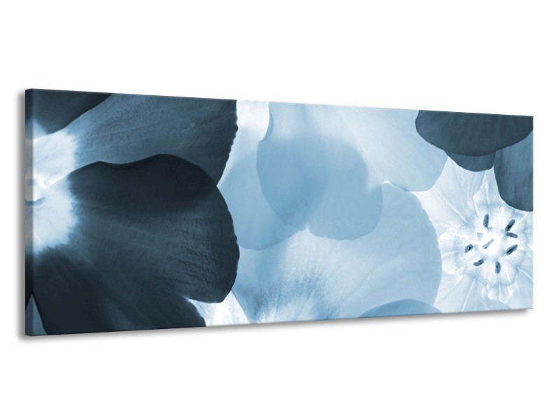 Glasschilderij Bloem | Blauw | 145x58cm 1Luik