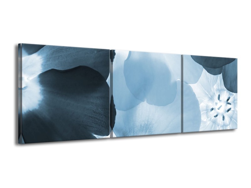 Canvas Schilderij Bloem | Blauw | 150x50cm 3Luik