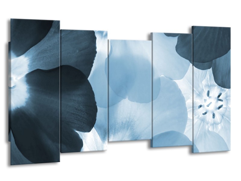 Glasschilderij Bloem | Blauw | 150x80cm 5Luik