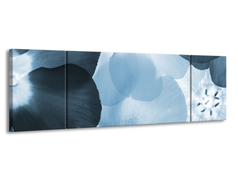 Canvas Schilderij Bloem | Blauw | 170x50cm 3Luik