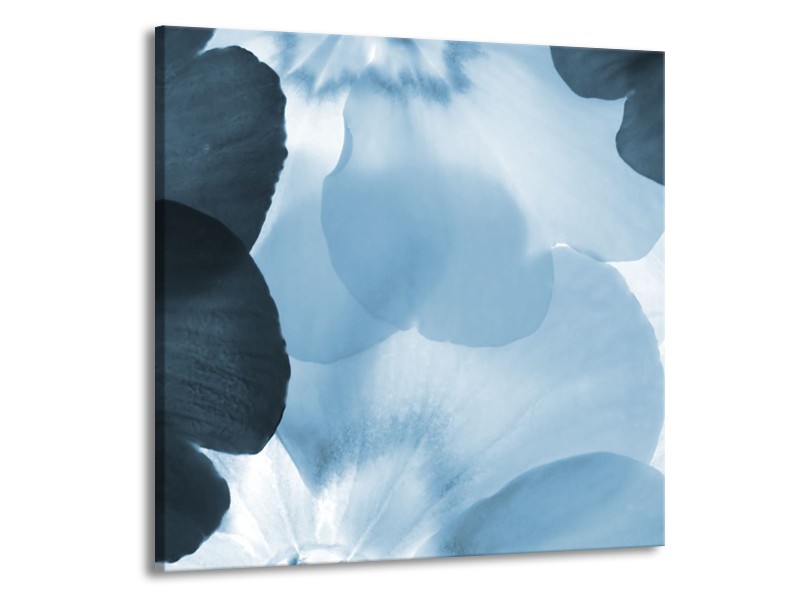 Glasschilderij Bloem | Blauw | 70x70cm 1Luik