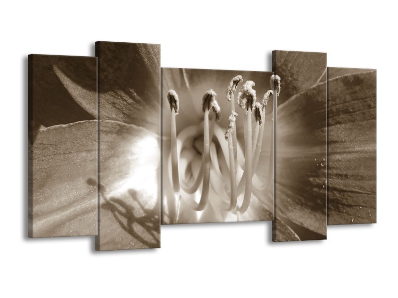 Canvas Schilderij Bloem | Sepia | 120x65cm 5Luik