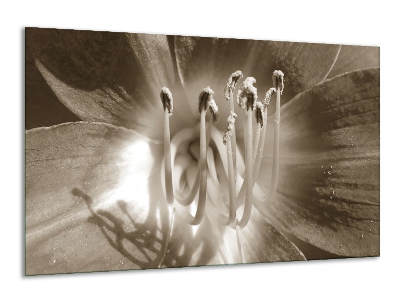 Canvas Schilderij Bloem | Sepia | 120x70cm 1Luik