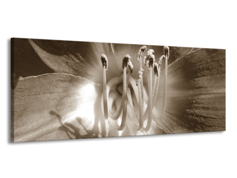 Canvas Schilderij Bloem | Sepia | 145x58cm 1Luik