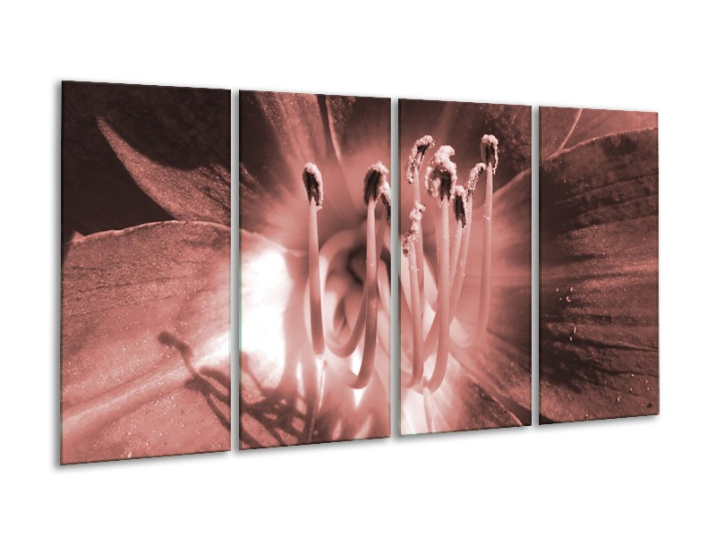 Glasschilderij Bloem | Bruin, Rood | 160x80cm 4Luik