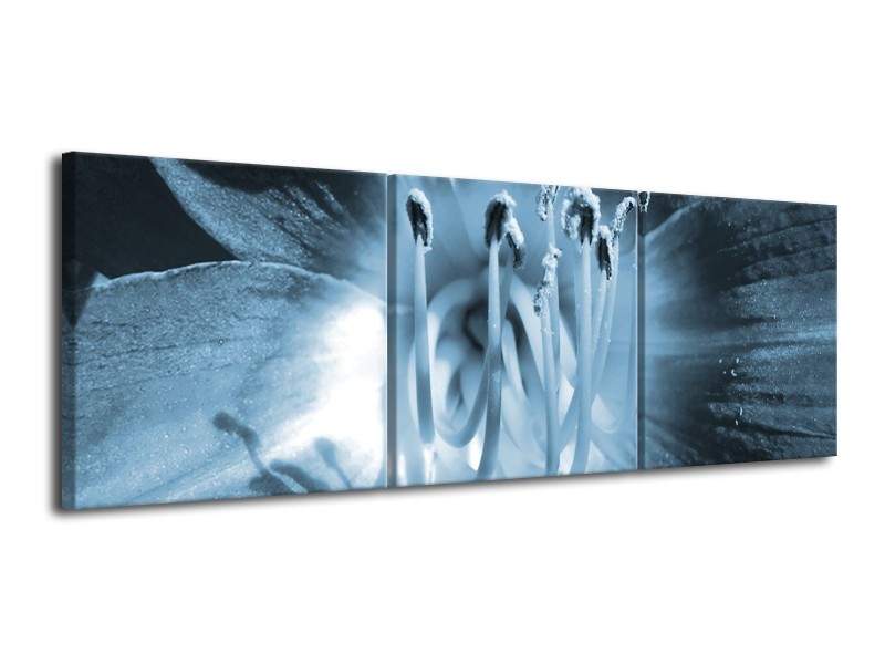 Canvas Schilderij Bloem | Blauw | 120x40cm 3Luik