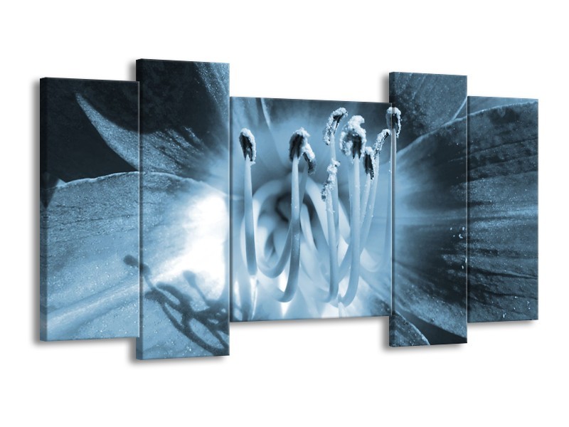 Canvas Schilderij Bloem | Blauw | 120x65cm 5Luik