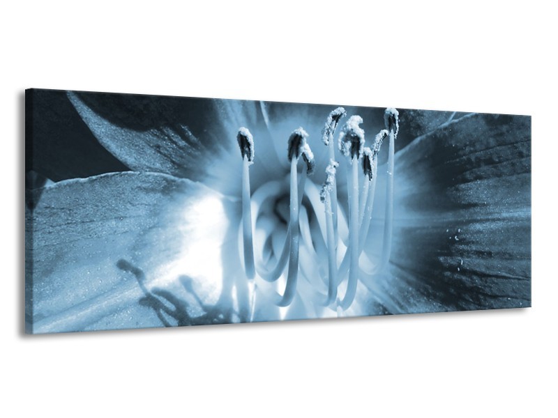 Glasschilderij Bloem | Blauw | 145x58cm 1Luik