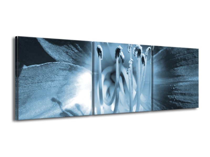 Canvas Schilderij Bloem | Blauw | 150x50cm 3Luik