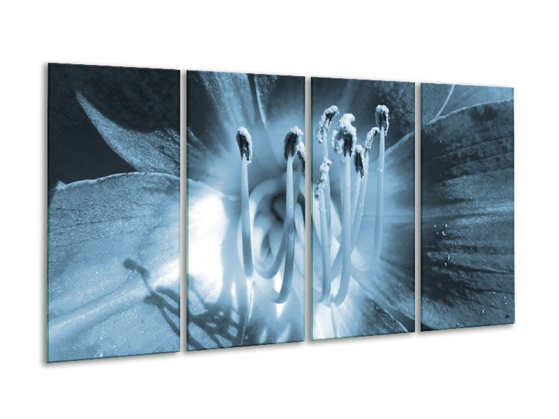 Glasschilderij Bloem | Blauw | 160x80cm 4Luik