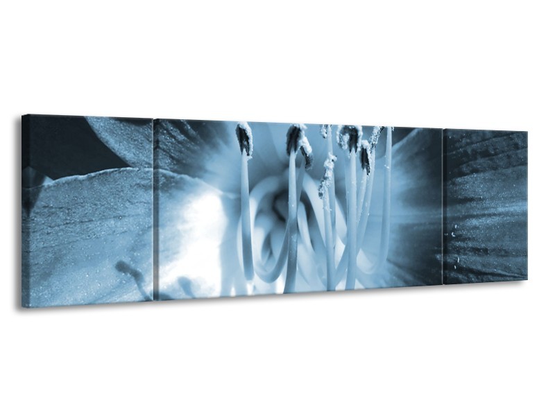 Glasschilderij Bloem | Blauw | 170x50cm 3Luik