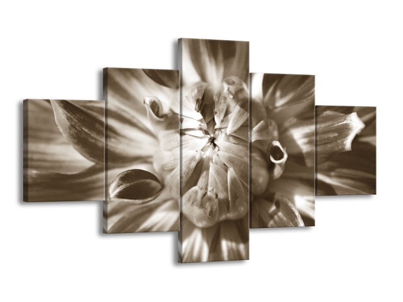 Glasschilderij Bloem | Sepia | 125x70cm 5Luik