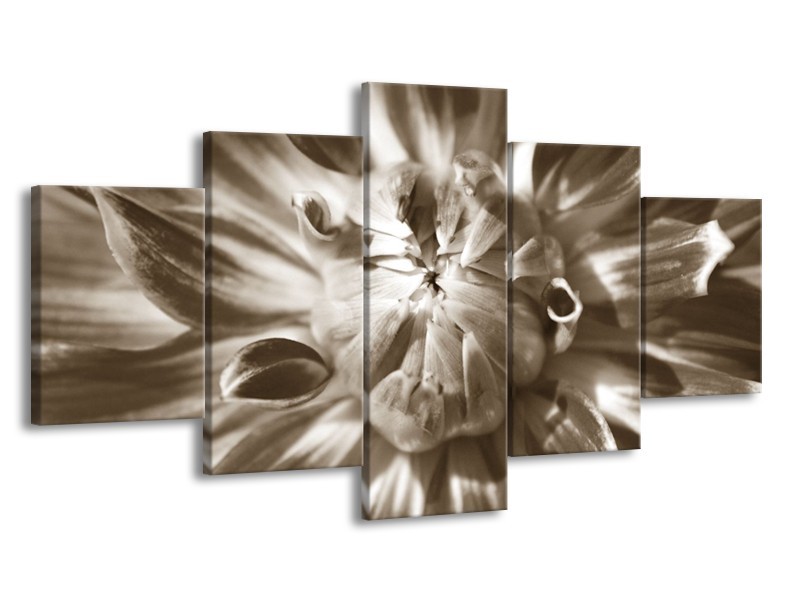 Glasschilderij Bloem | Sepia | 150x80cm 5Luik