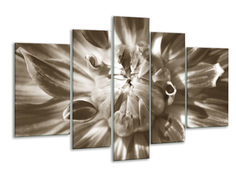 Glasschilderij Bloem | Sepia | 170x100cm 5Luik