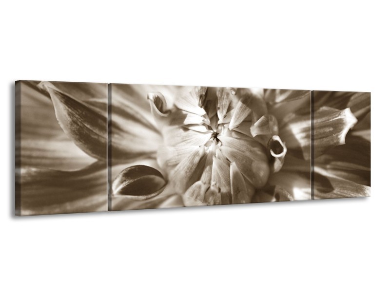 Glasschilderij Bloem | Sepia | 170x50cm 3Luik