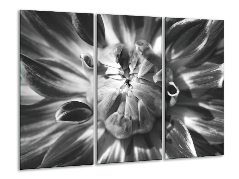 Canvas Schilderij Bloem | Zwart, Grijs | 120x80cm 3Luik