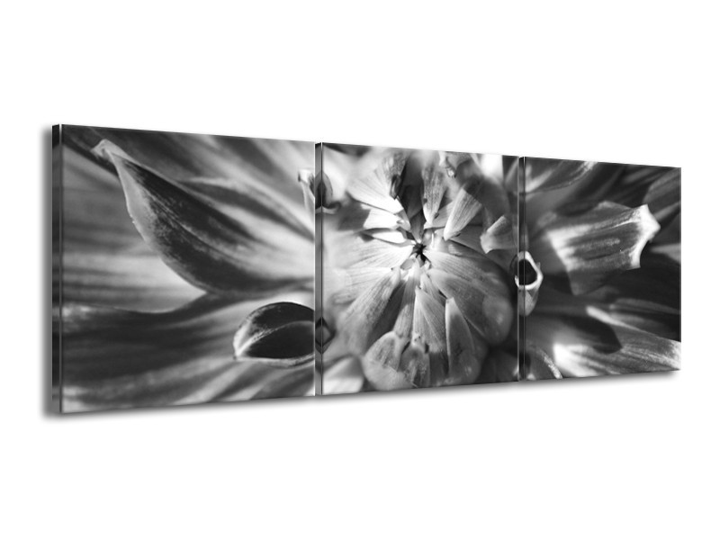 Canvas Schilderij Bloem | Zwart, Grijs | 150x50cm 3Luik