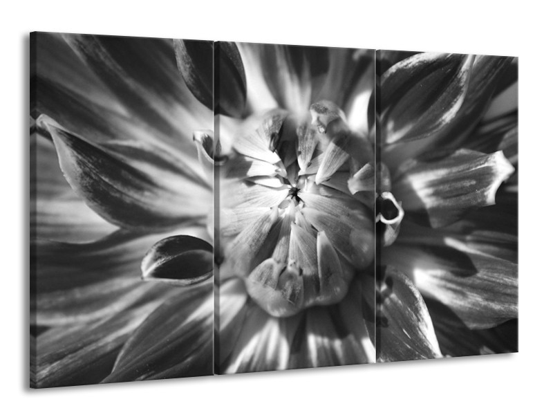 Canvas Schilderij Bloem | Zwart, Grijs | 165x100cm 3Luik