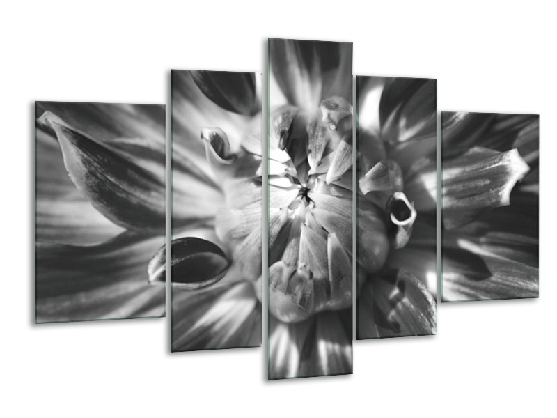 Glasschilderij Bloem | Zwart, Grijs | 170x100cm 5Luik