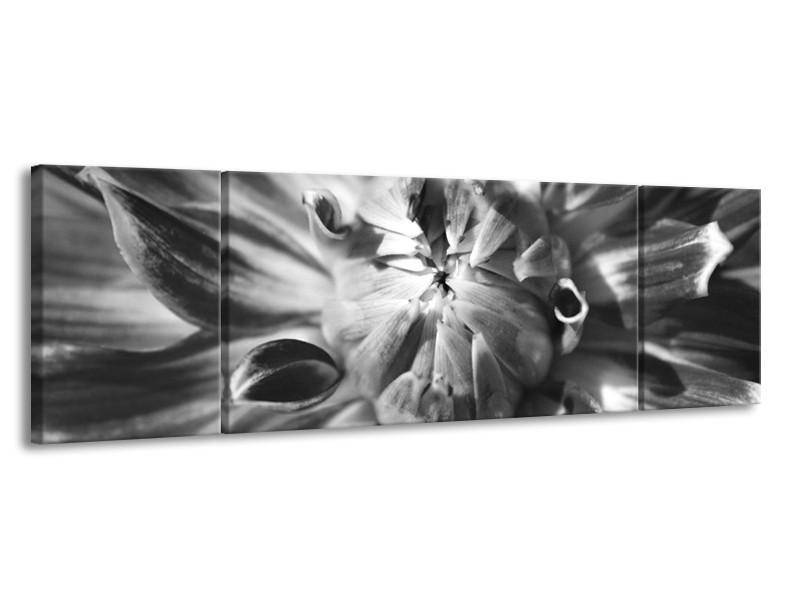 Canvas Schilderij Bloem | Zwart, Grijs | 170x50cm 3Luik