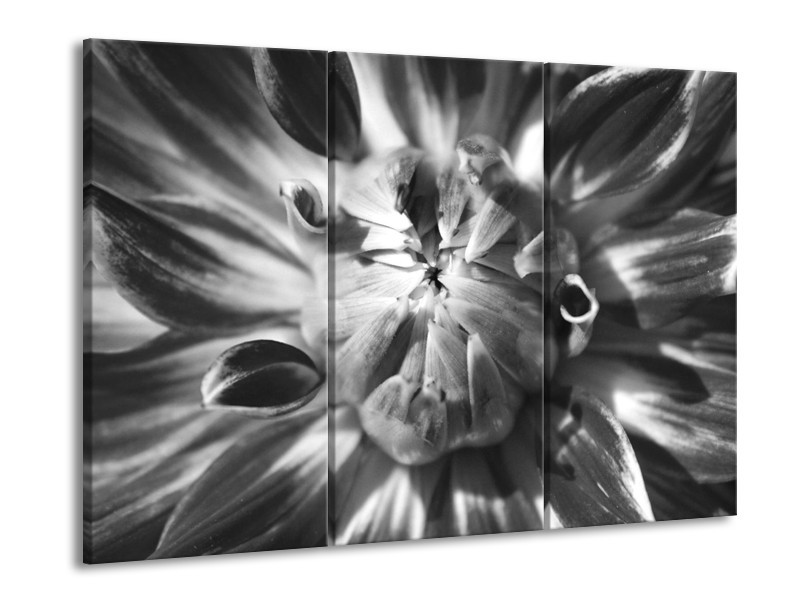 Canvas Schilderij Bloem | Zwart, Grijs | 60x90cm 3Luik