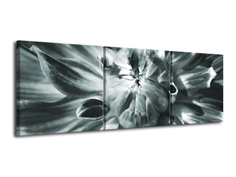 Glasschilderij Bloem | Grijs | 120x40cm 3Luik