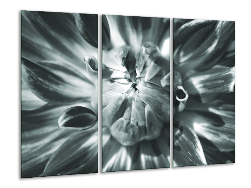 Canvas Schilderij Bloem | Grijs | 120x80cm 3Luik