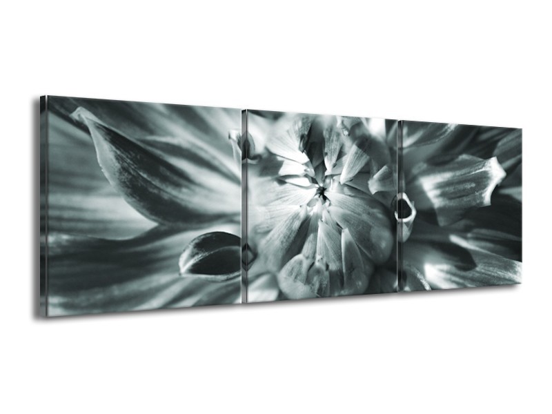 Glasschilderij Bloem | Grijs | 150x50cm 3Luik