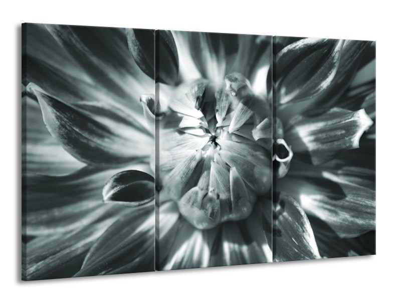 Glasschilderij Bloem | Grijs | 165x100cm 3Luik