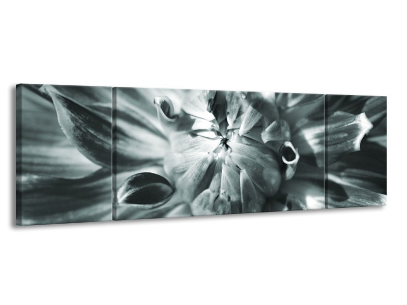 Glasschilderij Bloem | Grijs | 170x50cm 3Luik