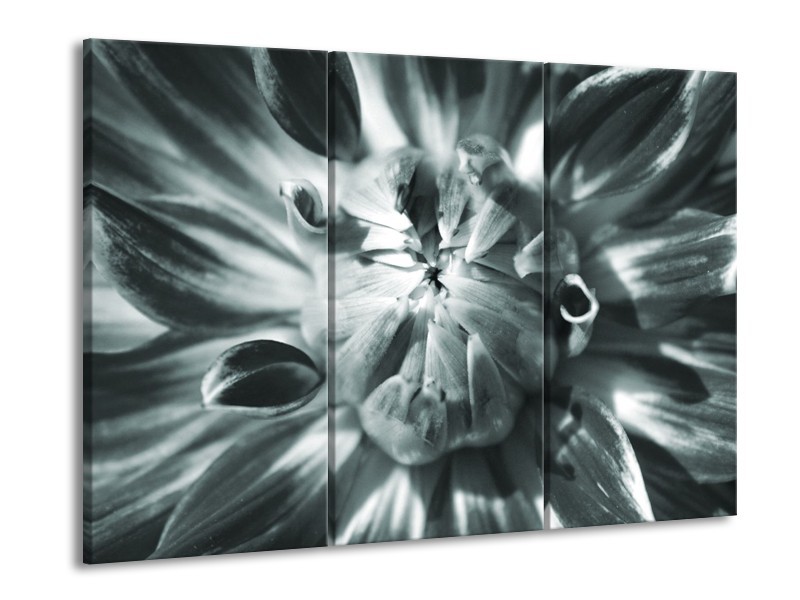 Glasschilderij Bloem | Grijs | 60x90cm 3Luik