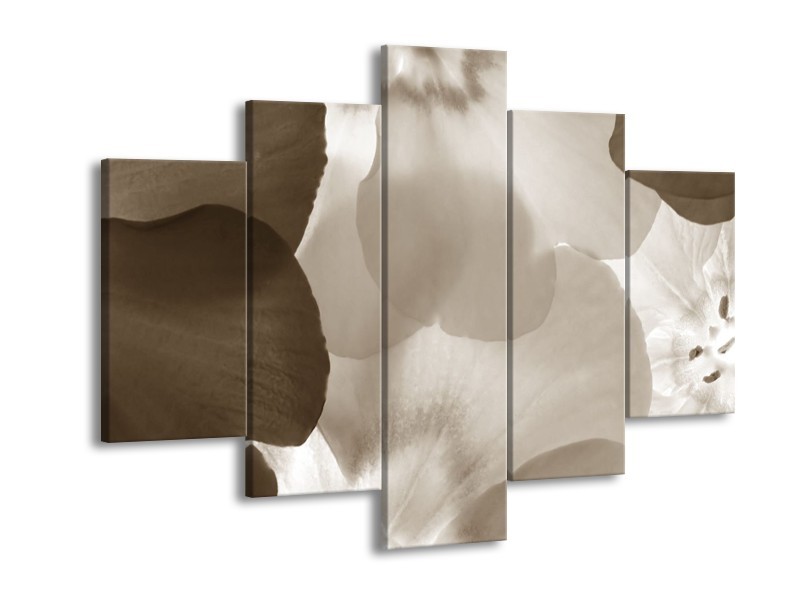 Canvas Schilderij Bloem | Sepia | 150x105cm 5Luik