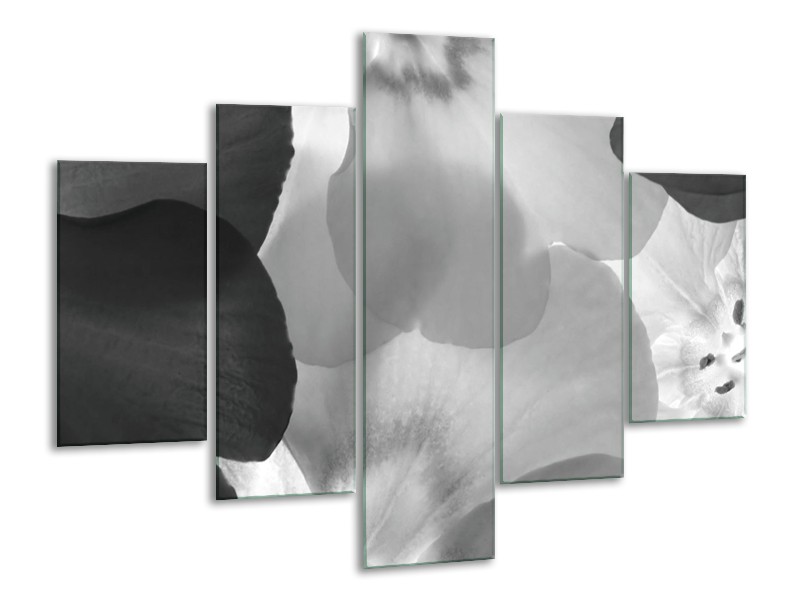 Glasschilderij Bloem | Zwart, Grijs | 100x70cm 5Luik