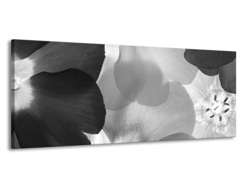 Canvas Schilderij Bloem | Zwart, Grijs | 145x58cm 1Luik