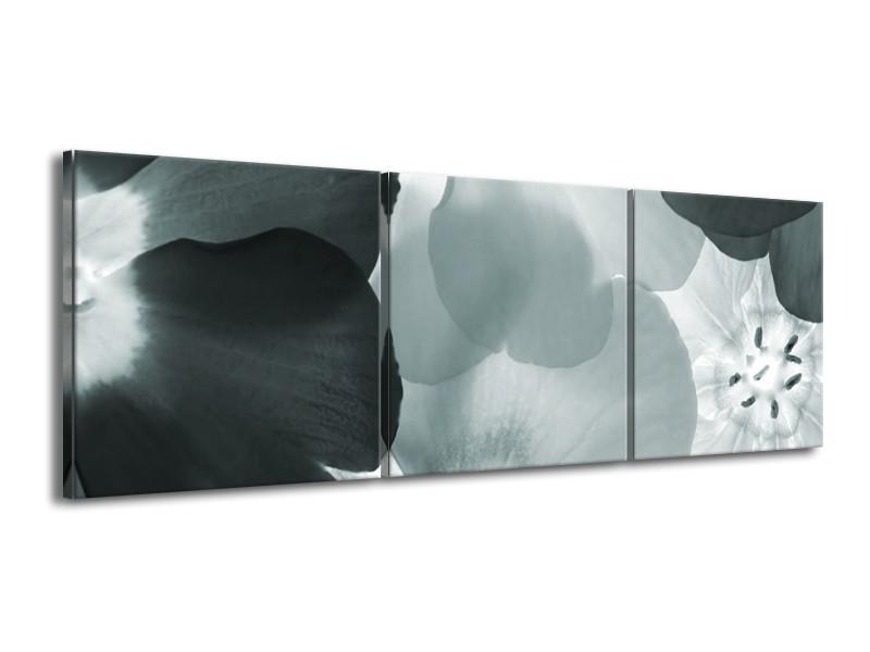 Glasschilderij Bloem | Grijs, Groen | 150x50cm 3Luik