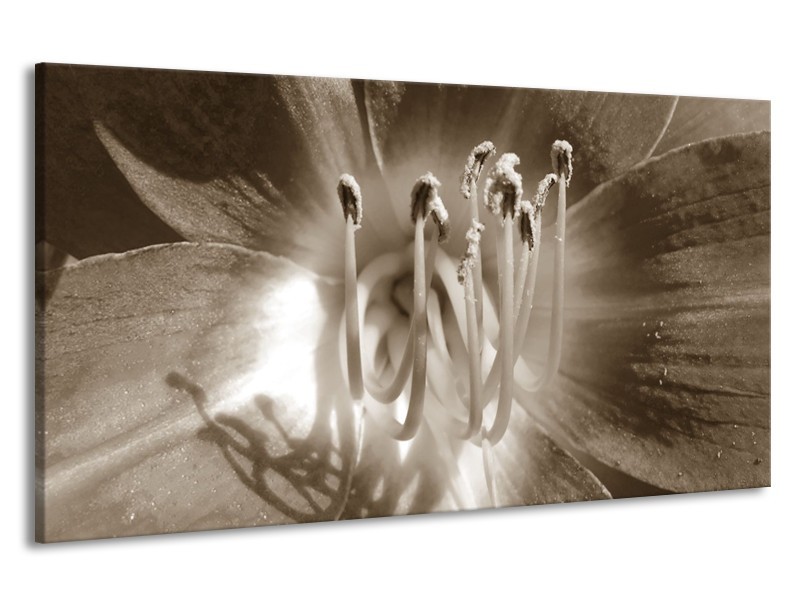 Canvas Schilderij Bloem | Sepia | 190x100cm 1Luik