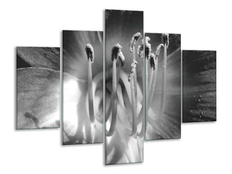 Canvas Schilderij Bloem | Zwart, Grijs | 100x70cm 5Luik