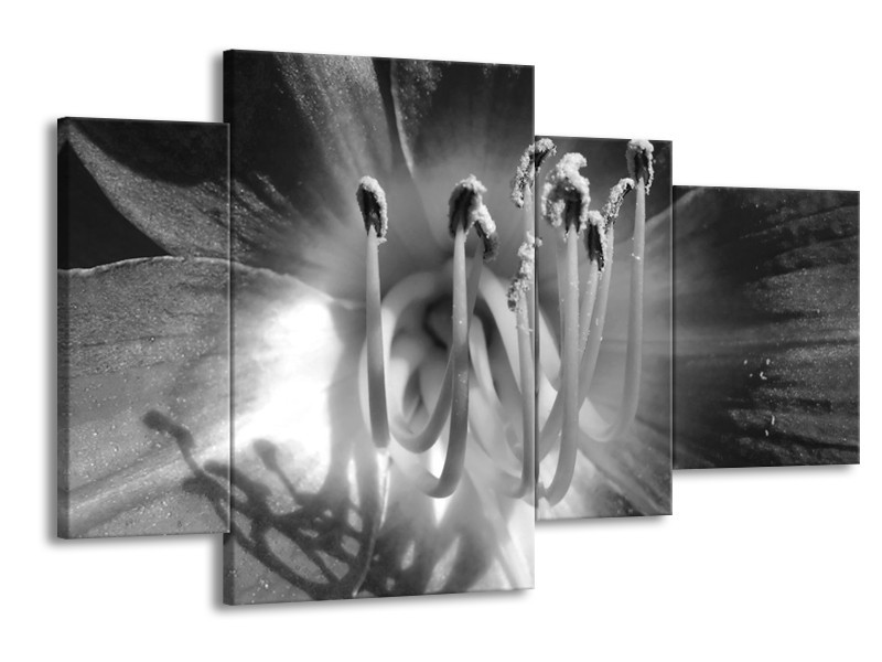 Canvas Schilderij Bloem | Zwart, Grijs | 120x75cm 4Luik