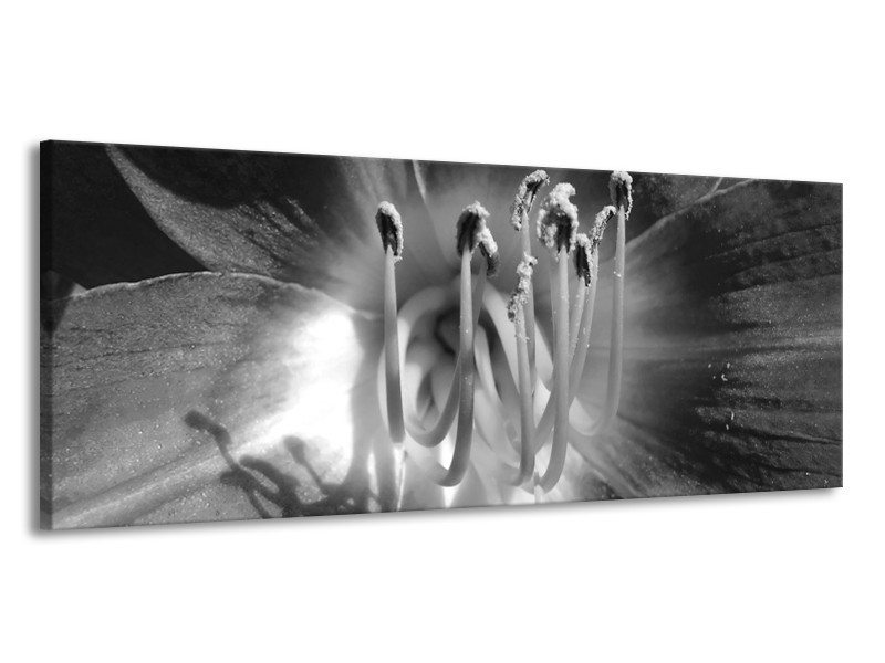 Canvas Schilderij Bloem | Zwart, Grijs | 145x58cm 1Luik